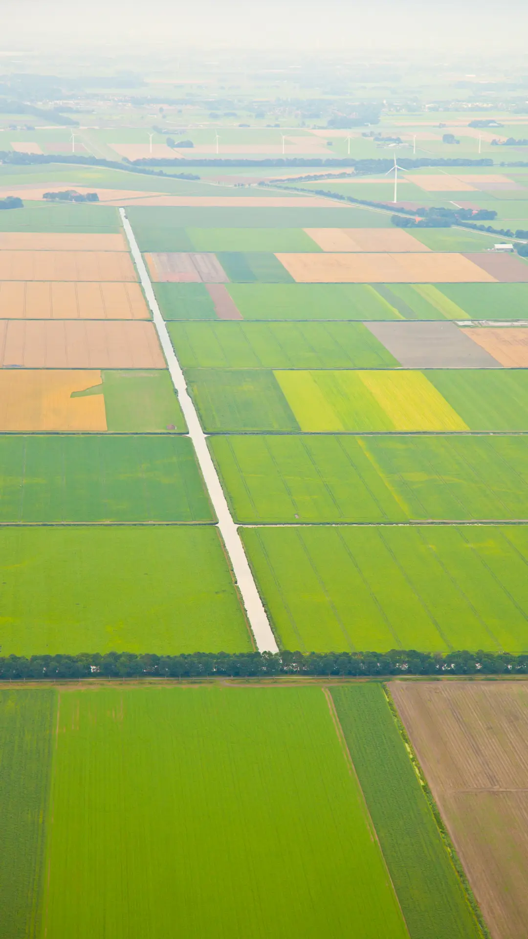 良田千顷-拍信图库