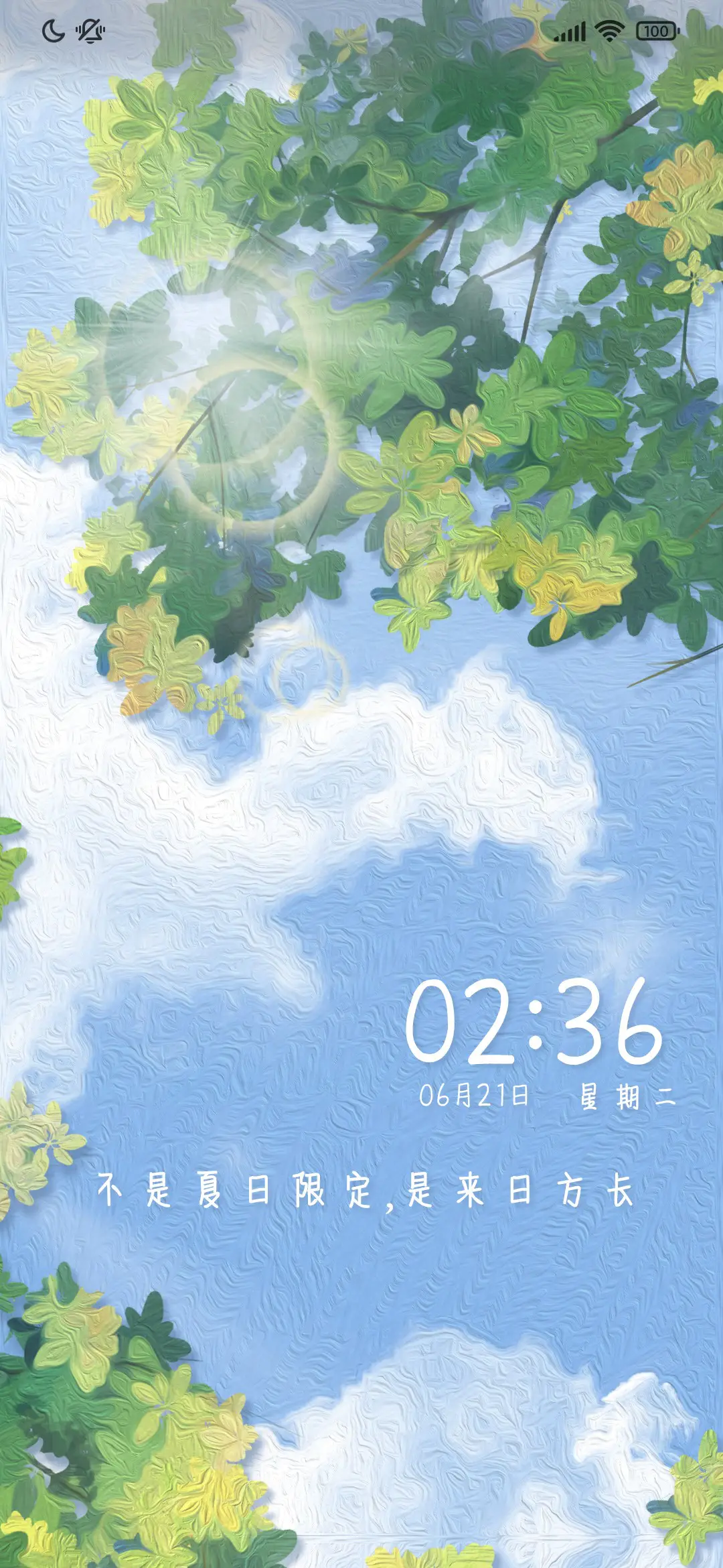 夏日限定